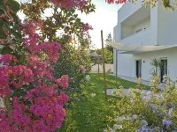 Green Land Boutique Hotel -  Habitaciones en casas particulares