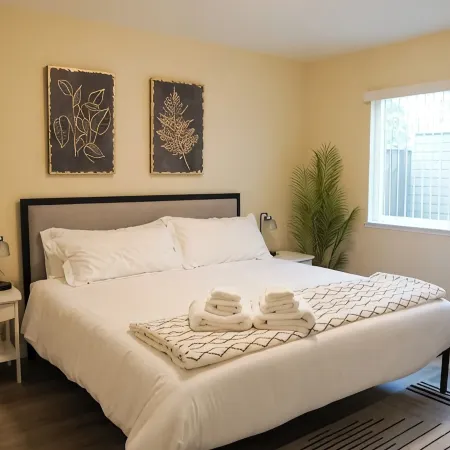 Newly renovated 2B/1b in Downtown