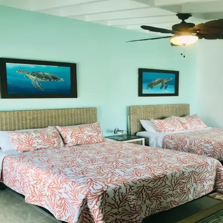 Huge 2-Bedroom Condo with Stunning Views, WiFi, AC in Enjoyable St. Thomas