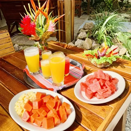 Mariposa Jungle Lodge