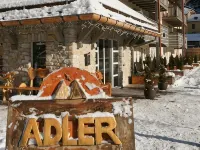 Adler ApartHotel Hoteles en Moena