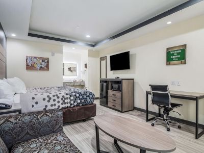 Regency Inn & Suites Humble FM1960 - IAH Airport