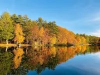 Beautiful Cabin Just North of Minocqua! Little Spider Lake. Aug 15-22 Available - Alppimaja