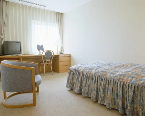Kawasaki International Center Hotel - 2 stjerner