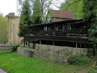Vila Ursu - bar