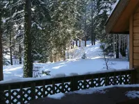 Storybook Chalet inside Yosemite National Park - Hytter