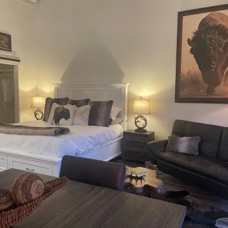 Luxury Studio Condo, 1 King bed, Amazing Location!!