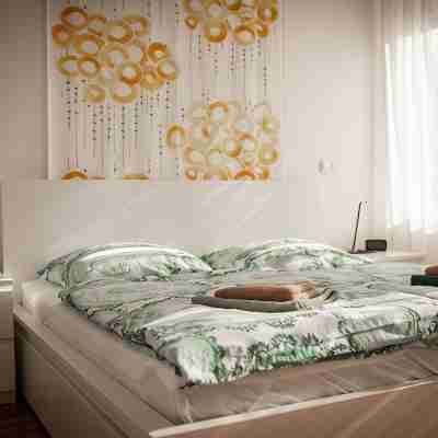 PS2: 2-Room Apartment, Trier South, Quiet Backyard, Good Transportation Links Rooms