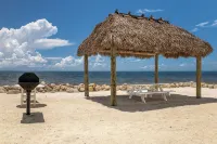 Ocean front with private beach and pool - Apartments