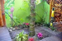 Physis Caribbean Bed & Breakfast - 3-Star