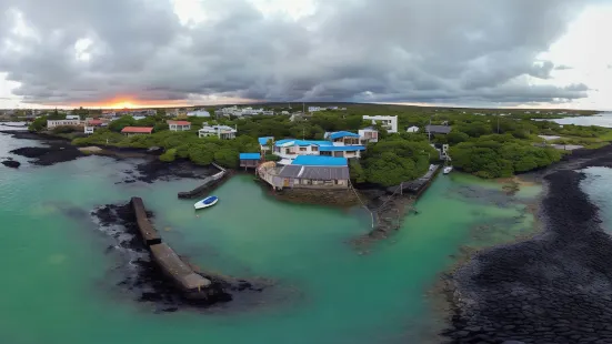 藍色加拉帕戈斯可持續濱水旅館