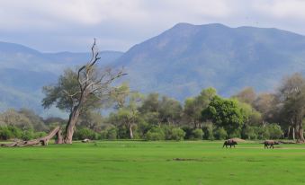 Mwinilunga Safaris