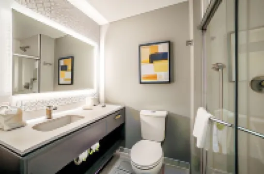 Everglades Adventures Hotel Suites by Ivey House Hotels in Collier County