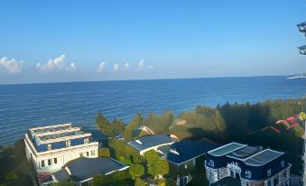 2. Haya Sea..