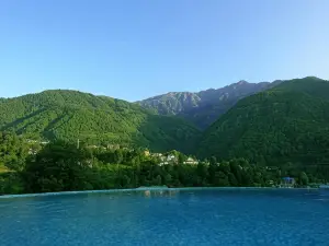 Araiya Palampur