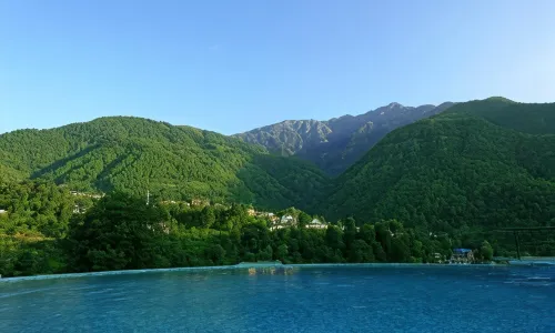 Araiya Palampur