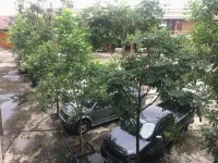 Huaisai Hotel - Parking