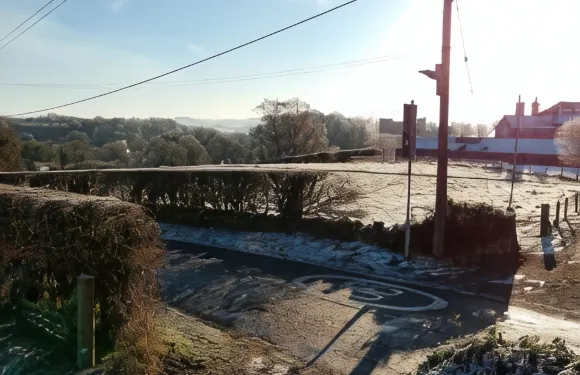 巴特斯福特阿姆斯旅館