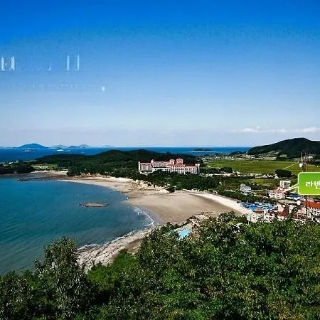 Buan Lavender Pension