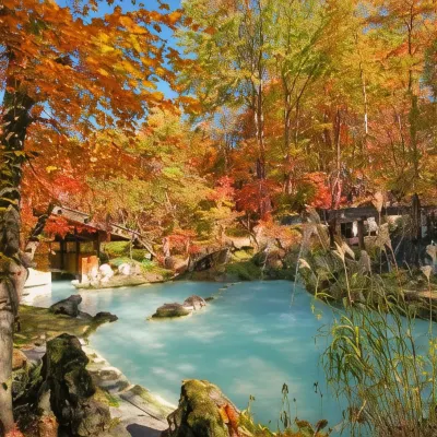泡湯旅館 善五郎秋附近的飯店