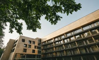 Rooms Hotel Kokhta
