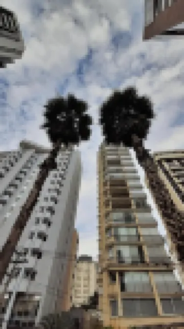 Hostel More SP Hotels in 