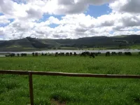 Elgin Guest House Hotels in Underberg