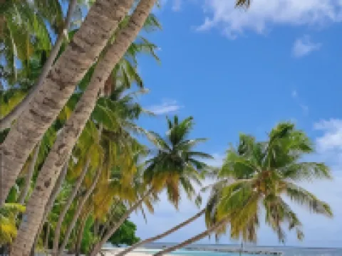 Athirige Private Villa Hotels in Dharavandhoo Island