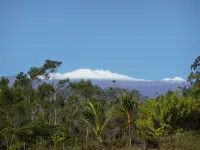 Kikala Waterfall Lodge - Homestays