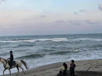 IBAI BEACH GUESTHOUSE Hotels in Batu Buruk