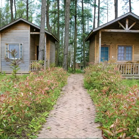 Forest Chalet