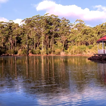 Forest Lodge Resort