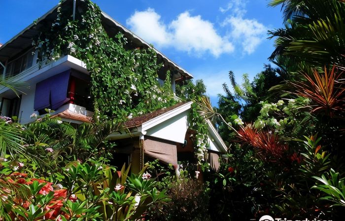 Bella Homestay