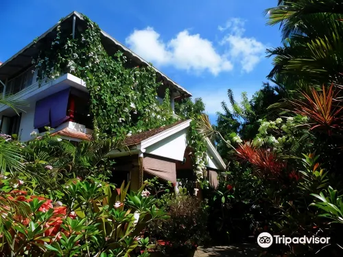 Bella Homestay - Airport Shuttle