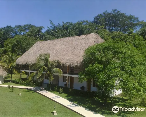Hotel Villas KIN Ha Hotels in Palenque
