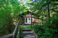 Cozy Forest Cabin in the Beautiful Sayward Valley