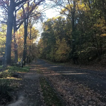 Hilltop Haven @ Hampton Heights