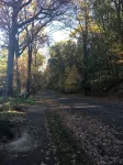 Hilltop Haven @ Hampton Heights - Wifi