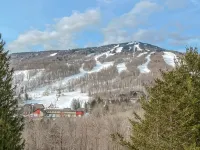 Walk to Mount Snow, Cozy, Clean and Comfortable!