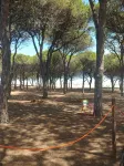 Sunny House, vacation home with garden near the beach in Budoni!