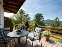 Ferienwohnung Panoramablick 2Südhanglage Mit Terrasse.Bodenmais,Arber Region