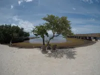 海景公寓，帶陽台/遊艇碼頭景觀 - 沙灘