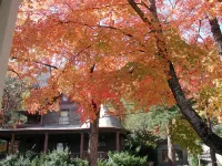 The Best Historic District Victorian Cottage in Eureka Springs - Country Houses