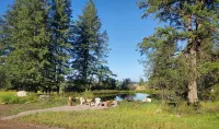 Teton Cabin- Columbia Mountain Ranch - Feriehus