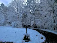1800's Original Cozy Romantic Cabin For 2 Or The Family - Chalets