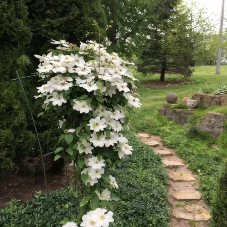 Discover Elizabeth charm, just a quick 27-min drive away from Mississippi River