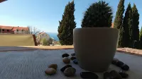 Apartment Noel Cavtat 1 - Pet friendly