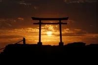 Sea Side Pension Sakuraya - Pensions