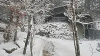 Daon Forest Pension - 民宿