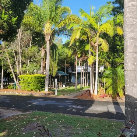 Lani's Holiday Island